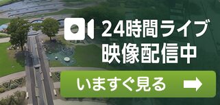 高岡おとぎの森公園ライブカメラ映像